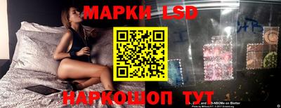 прущие грибы Краснодар