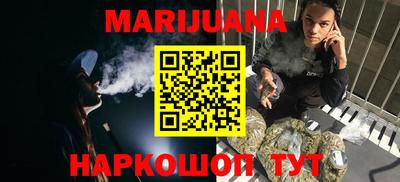 прущие грибы Краснодар