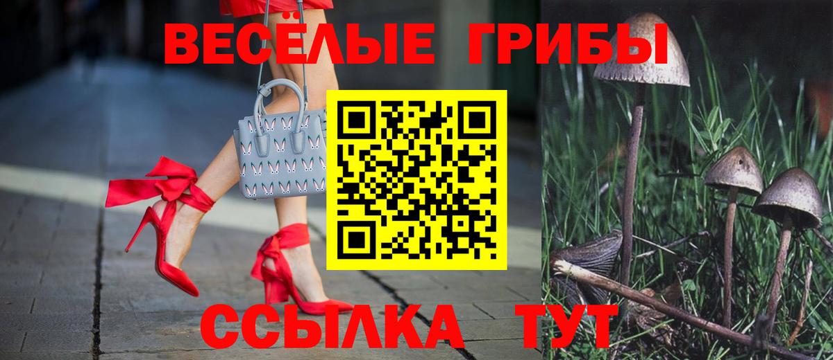 Псилоцибиновые грибы Magic Shrooms  Галлюциногенные грибы мицелий  закладка  Сердобск  Вход с VPN 